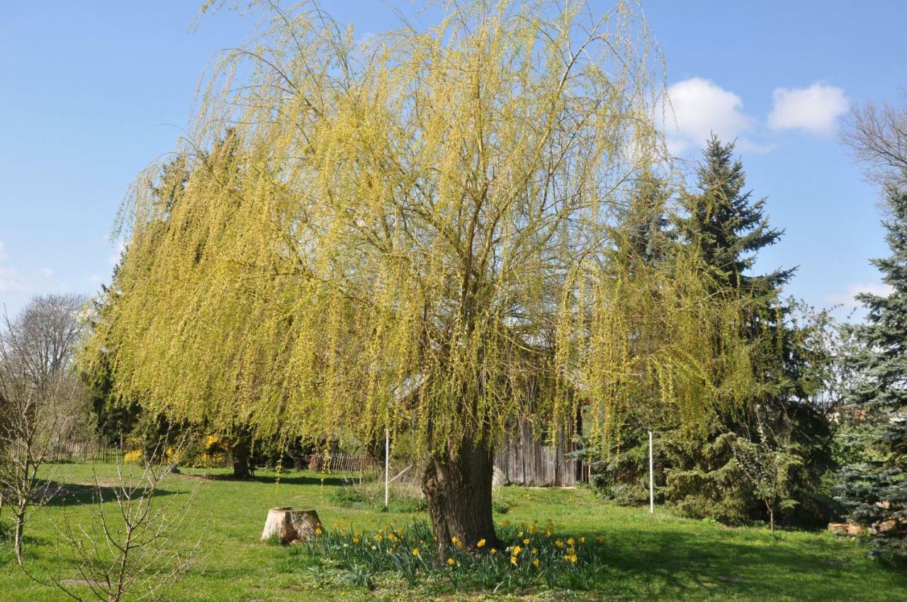 Ferienhaus Ilse-Bilse Neuhausen  Екстер'єр фото